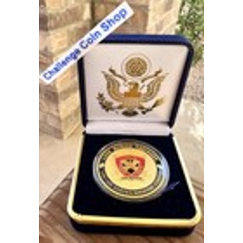 Department of Energy (DOE) Challenge Coin With Blue Velvet Case. Fast Shipping!