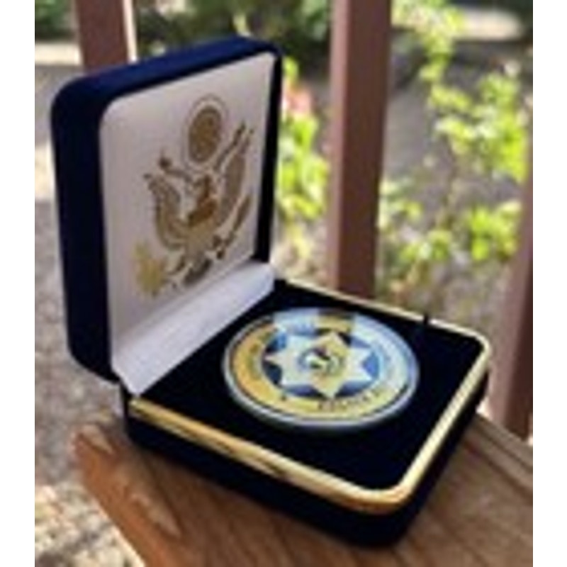 Department of Energy (DOE) Challenge Coin With Blue Velvet Case. Fast Shipping!