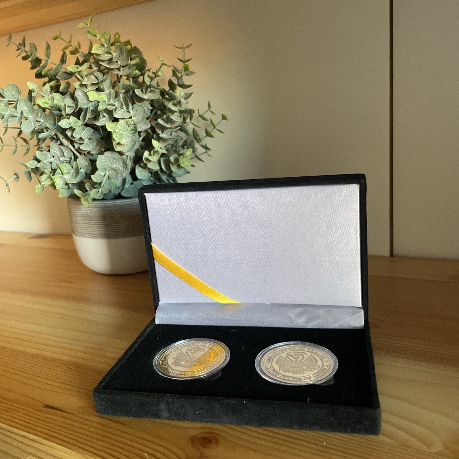 United States Coins Case Box