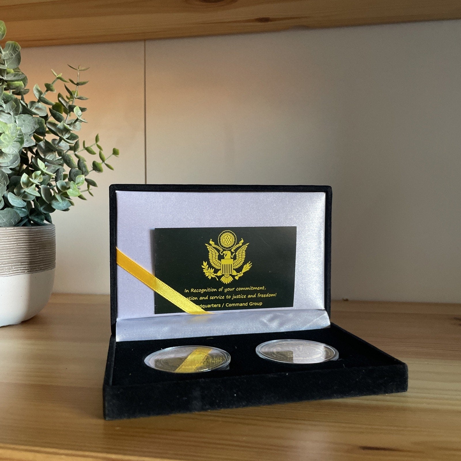 United States Coins Case Box