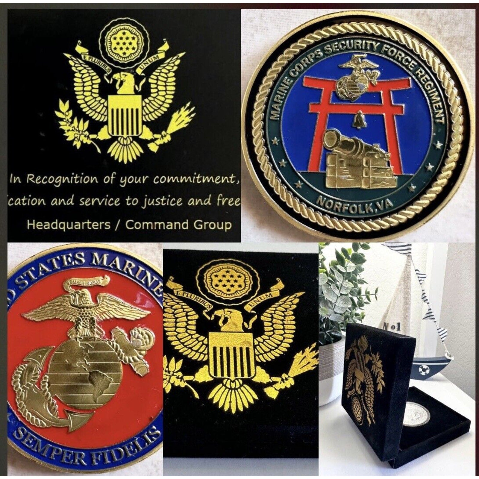 Marine Corps Security Force Regiment Challenge Coin USA