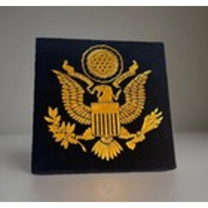 S MARINE CORPS - 14th MARINE REGIMENT Challenge Coin With Case Retirement Award