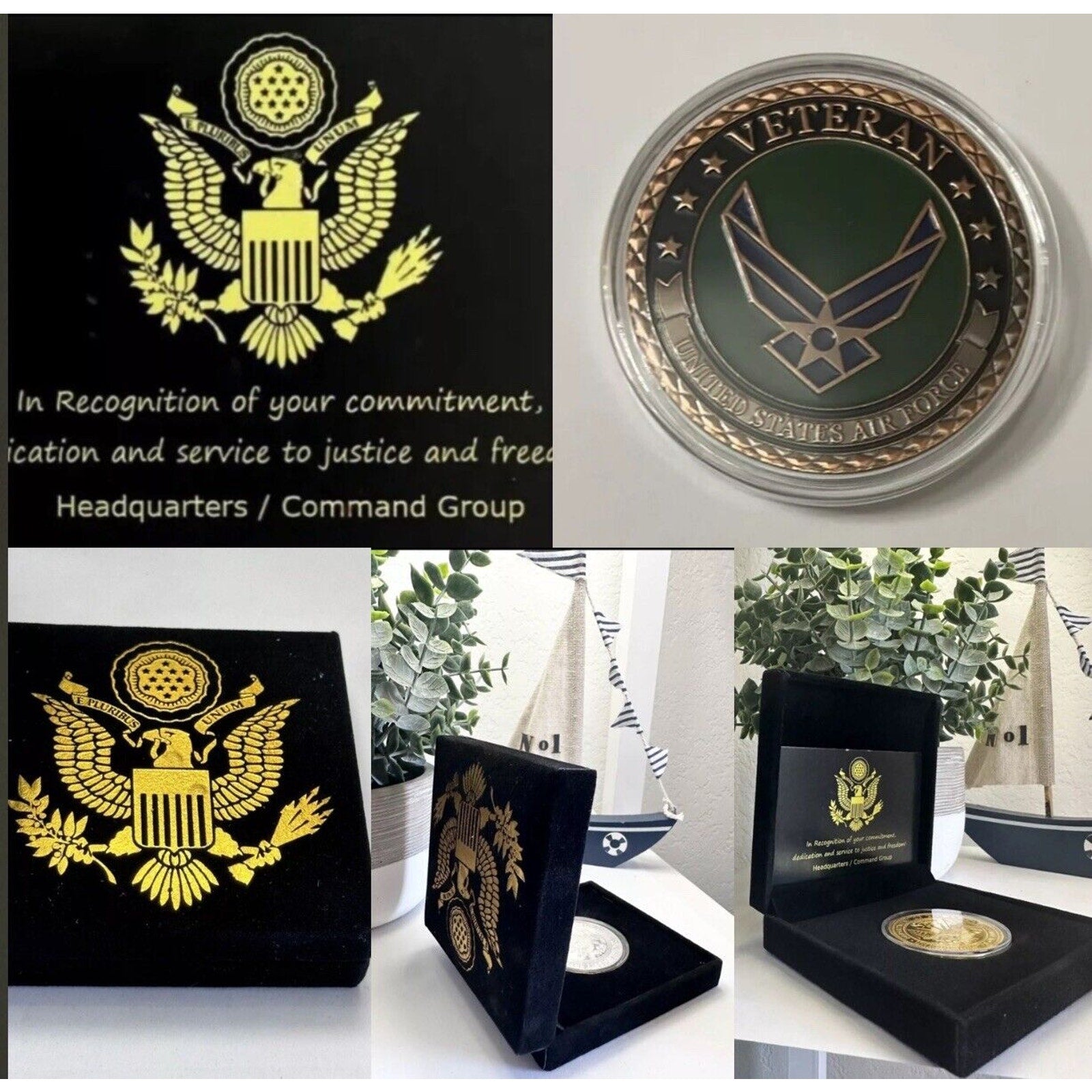 USAF VETERAN Challenge Coin United States USA F