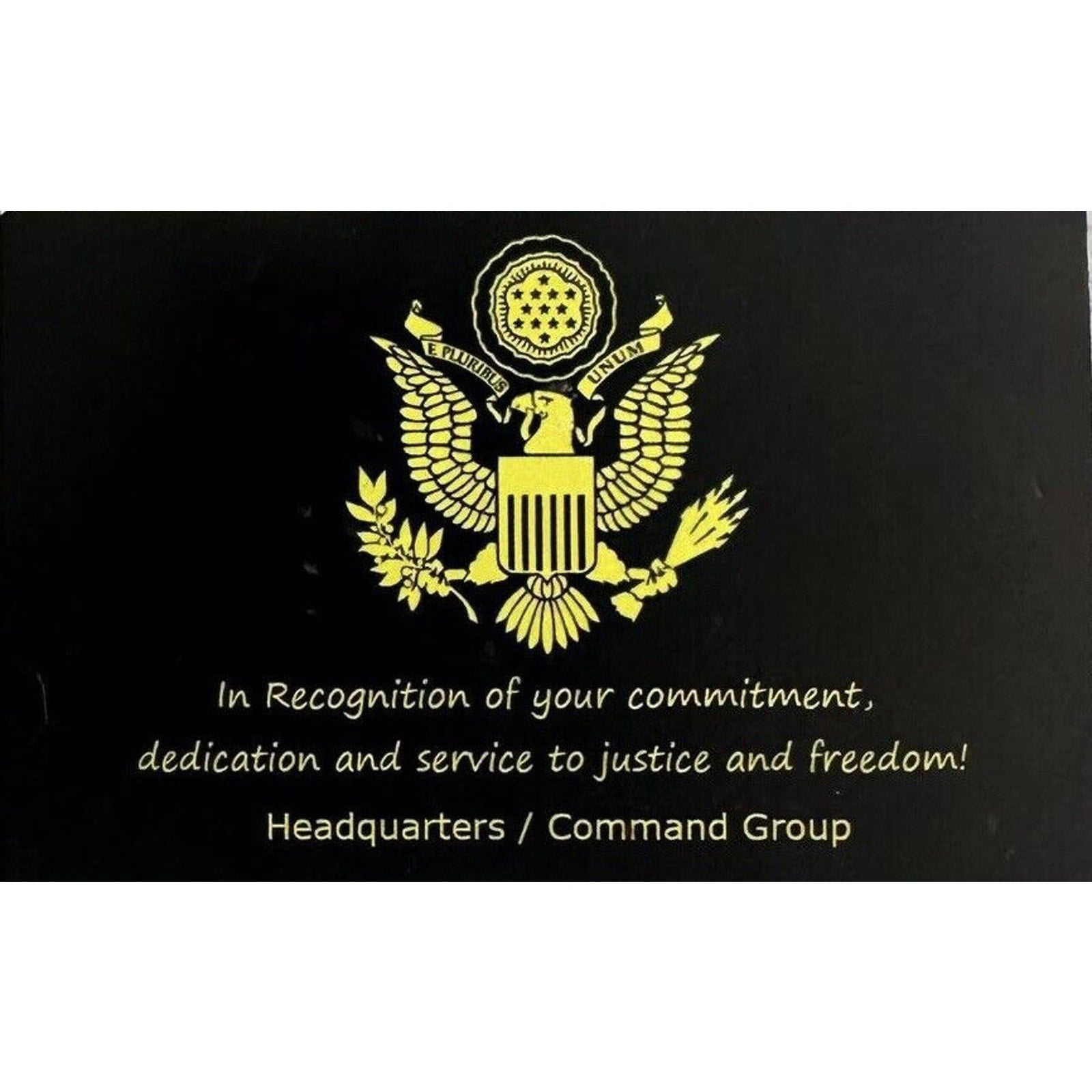 EAGLE SCOUT Challenge Coin USA