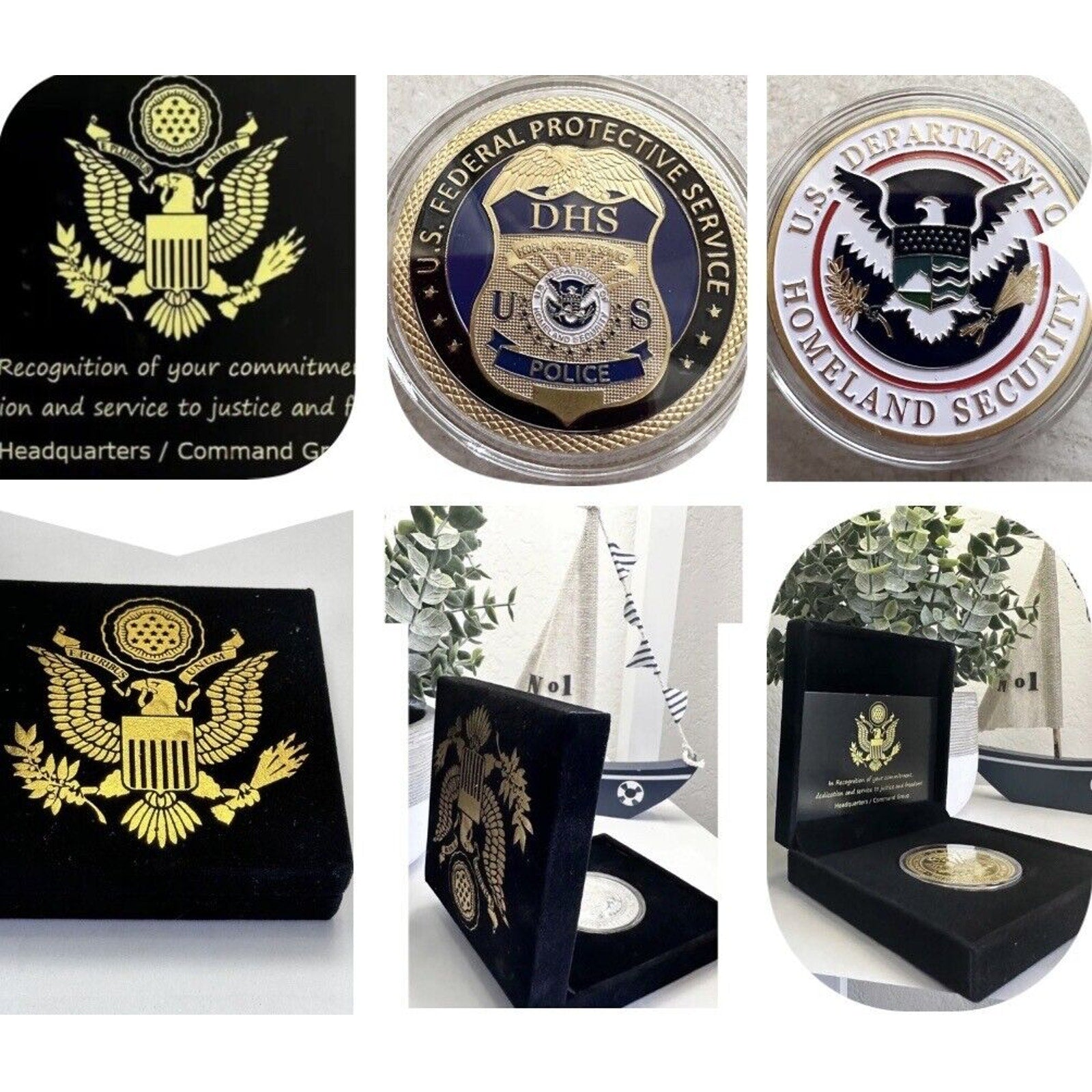 U S Federal Protective Service Police Dept of Home land Security Coin USA