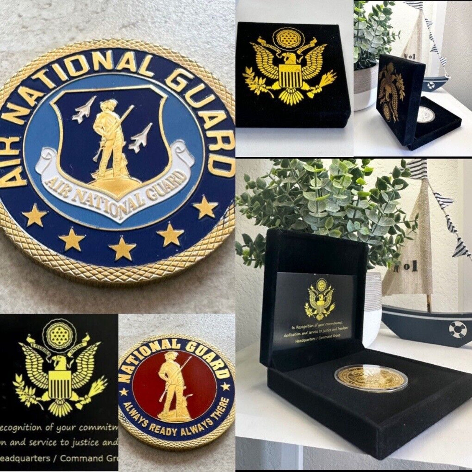 US AIR NATIONAL GUARD Challenge Coin With Special Velvet Case