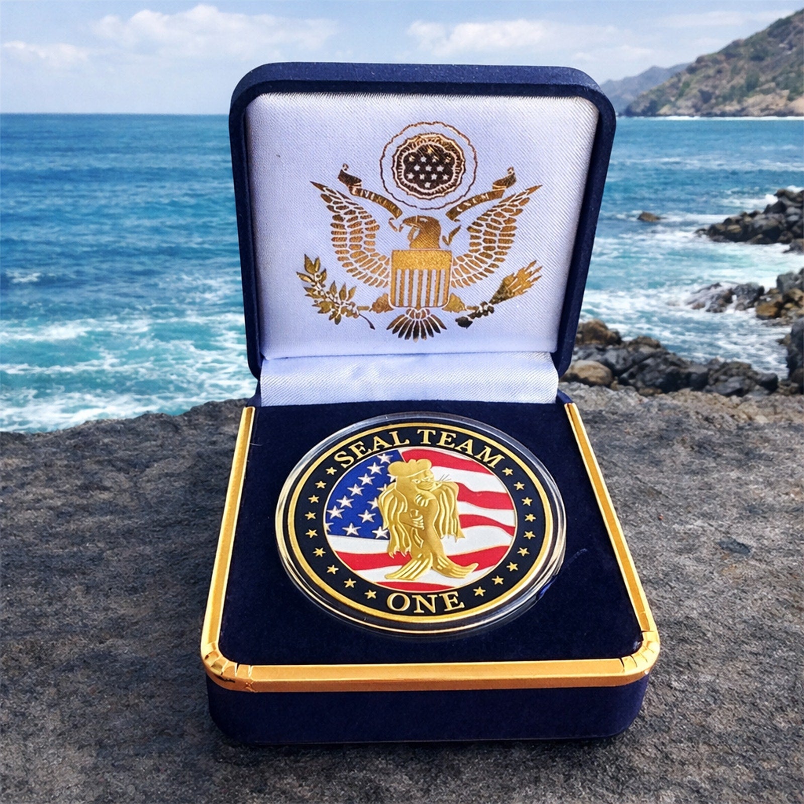 US NAVY SEAL TEAM ONE Challenge Coin with Case ·FAST SHIPPING· ·NEW·
