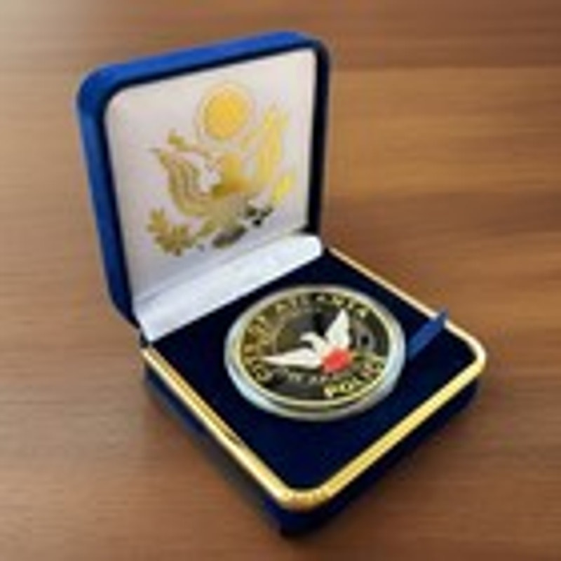 Department of Energy (DOE) Challenge Coin With Blue Velvet Case. Fast Shipping!
