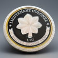Department of Energy (DOE) Challenge Coin With Blue Velvet Case. Fast Shipping!