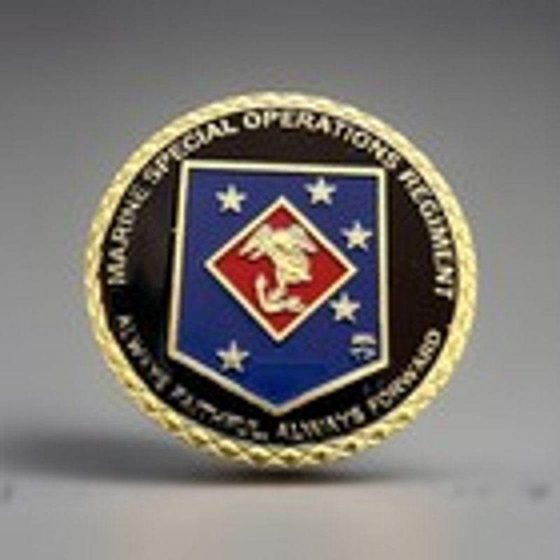 Department of Energy (DOE) Challenge Coin With Blue Velvet Case. Fast Shipping!