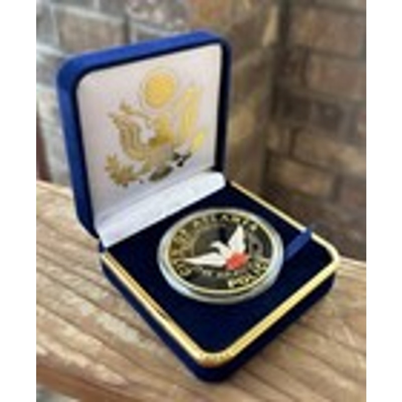 Department of Energy (DOE) Challenge Coin With Blue Velvet Case. Fast Shipping!