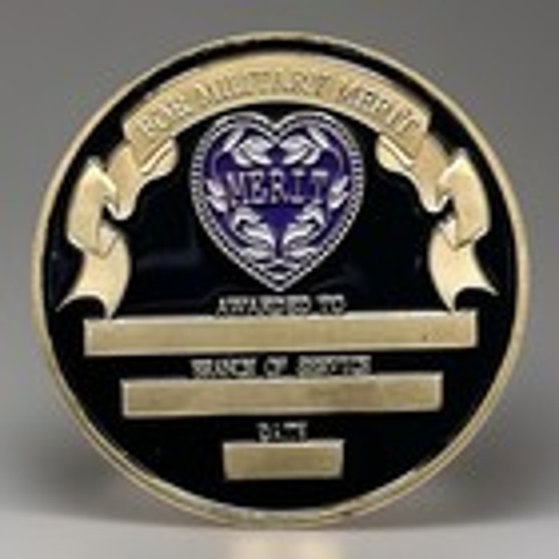 Department of Energy (DOE) Challenge Coin With Blue Velvet Case. Fast Shipping!
