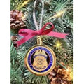 UNITED STATES SECRET SERVICE SPECIAL AGENT CHALLENGE COIN ORNAMENT. GREAT GIFT!