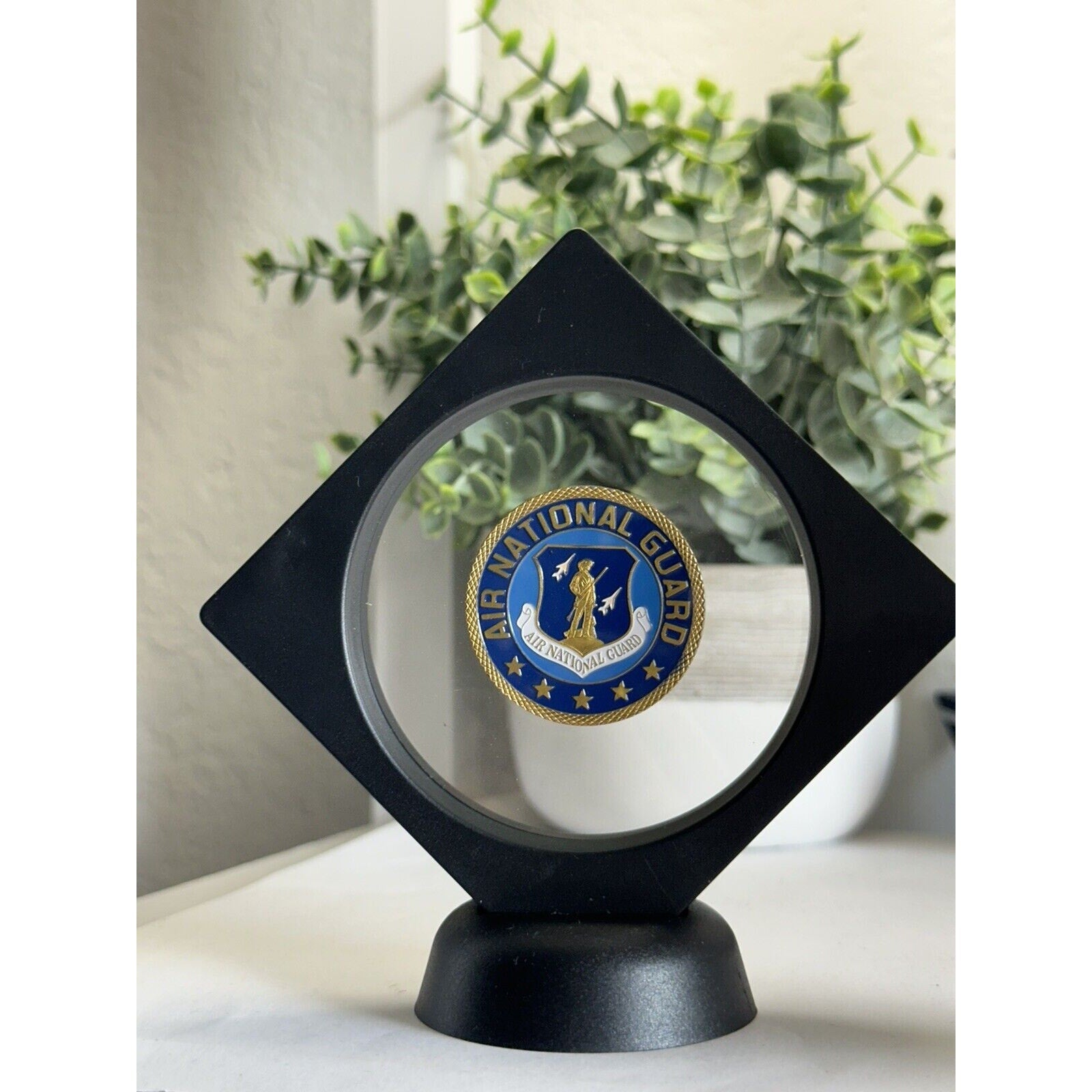 US AIR NATIONAL GUARD Challenge Coin With Display Case
