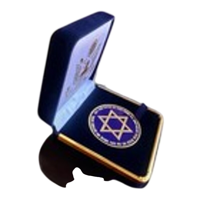 Department of Energy (DOE) Challenge Coin With Blue Velvet Case. Fast Shipping!