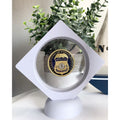 U S Federal Air Marshal Challenge Coin Come With 3D Display Case