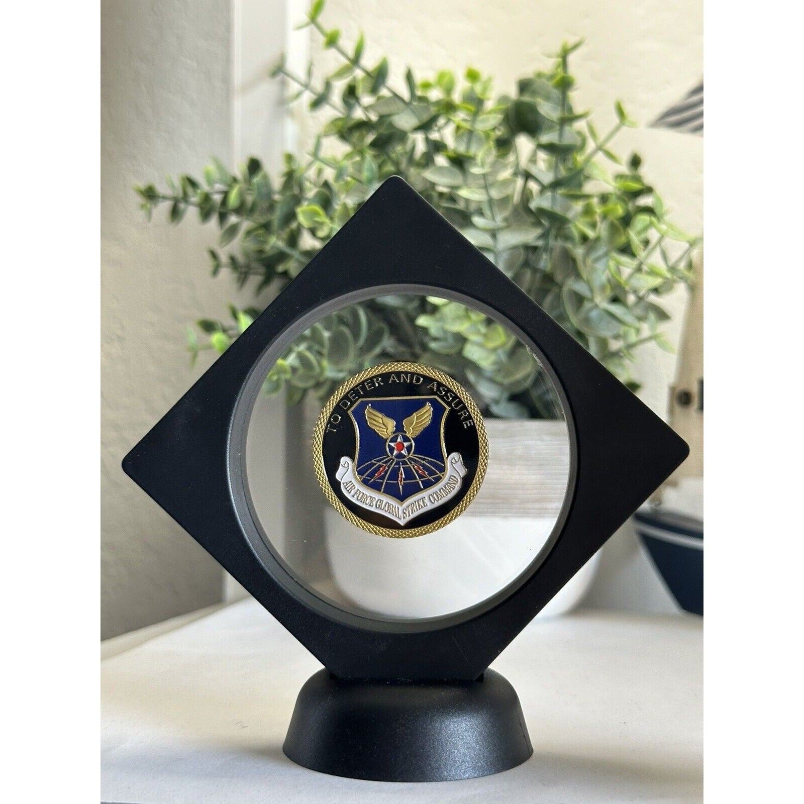 AIR FORCE GLOBAL STRIKE COMMAND Challenge Coin To Deter And Assure With Case