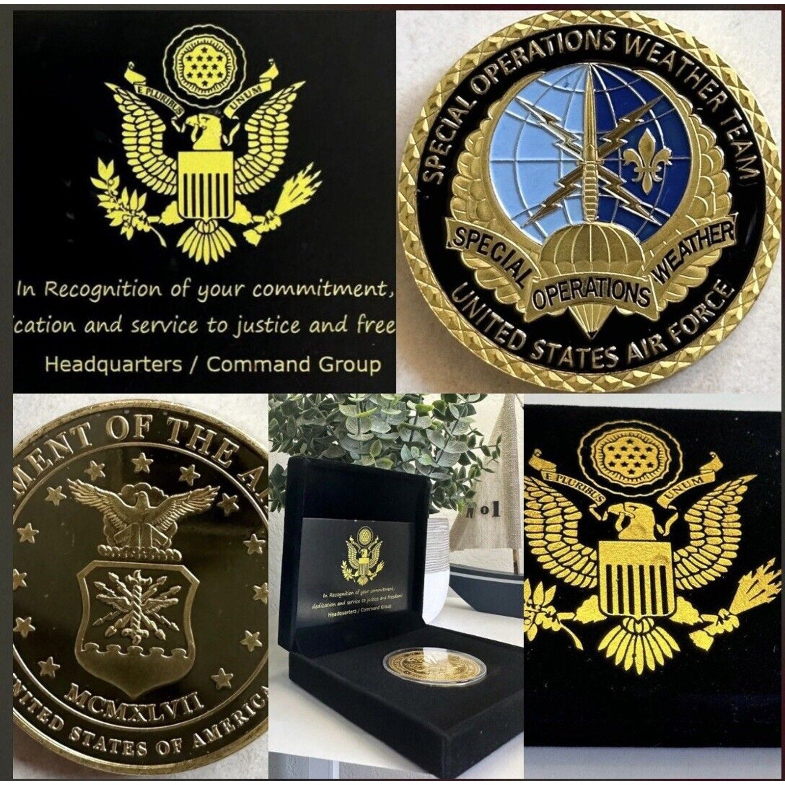 U S AIR FORCE SPECIAL OPERATIONS WEATHER TEAM Challenge Coin USA F
