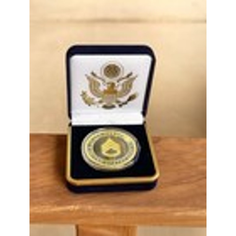 Department of Energy (DOE) Challenge Coin With Blue Velvet Case. Fast Shipping!