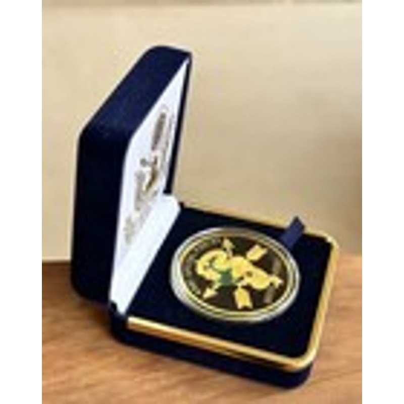 Department of Energy (DOE) Challenge Coin With Blue Velvet Case. Fast Shipping!