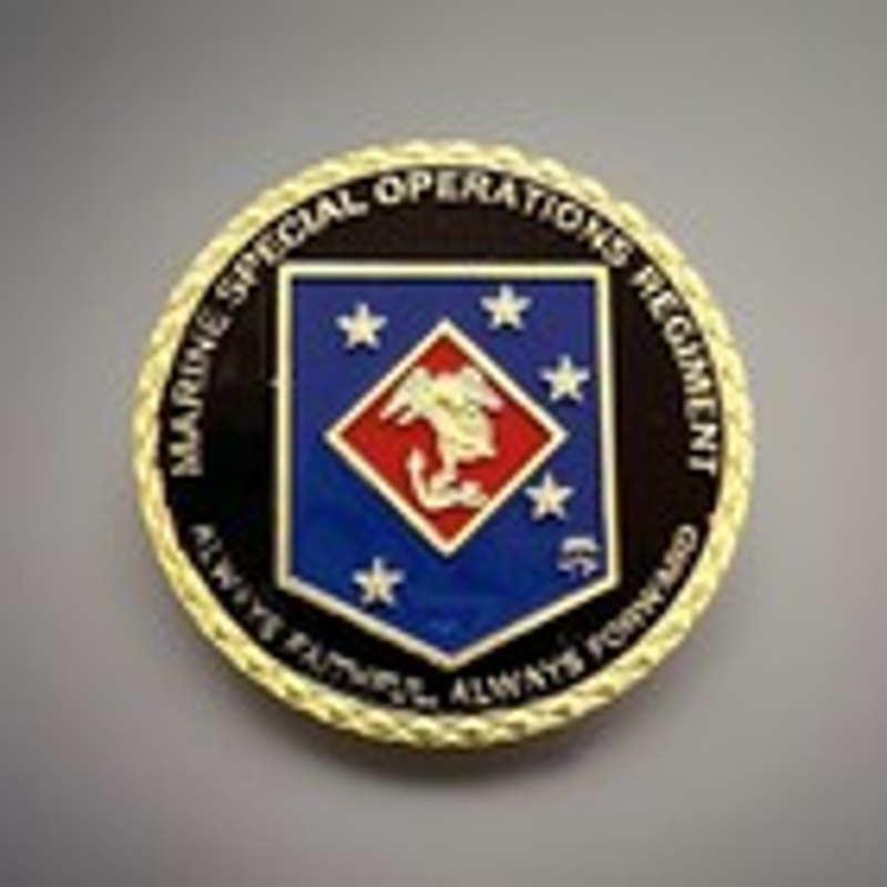 Department of Energy (DOE) Challenge Coin With Blue Velvet Case. Fast Shipping!