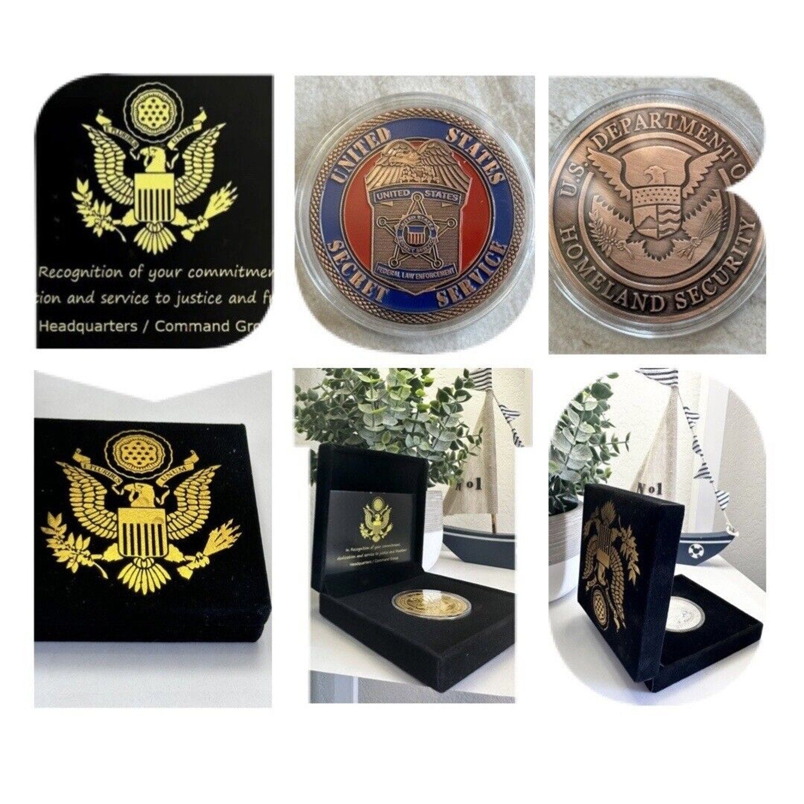 US SECRET SERVICE Department Of Home land Security Challenge Coin W Velvet Case