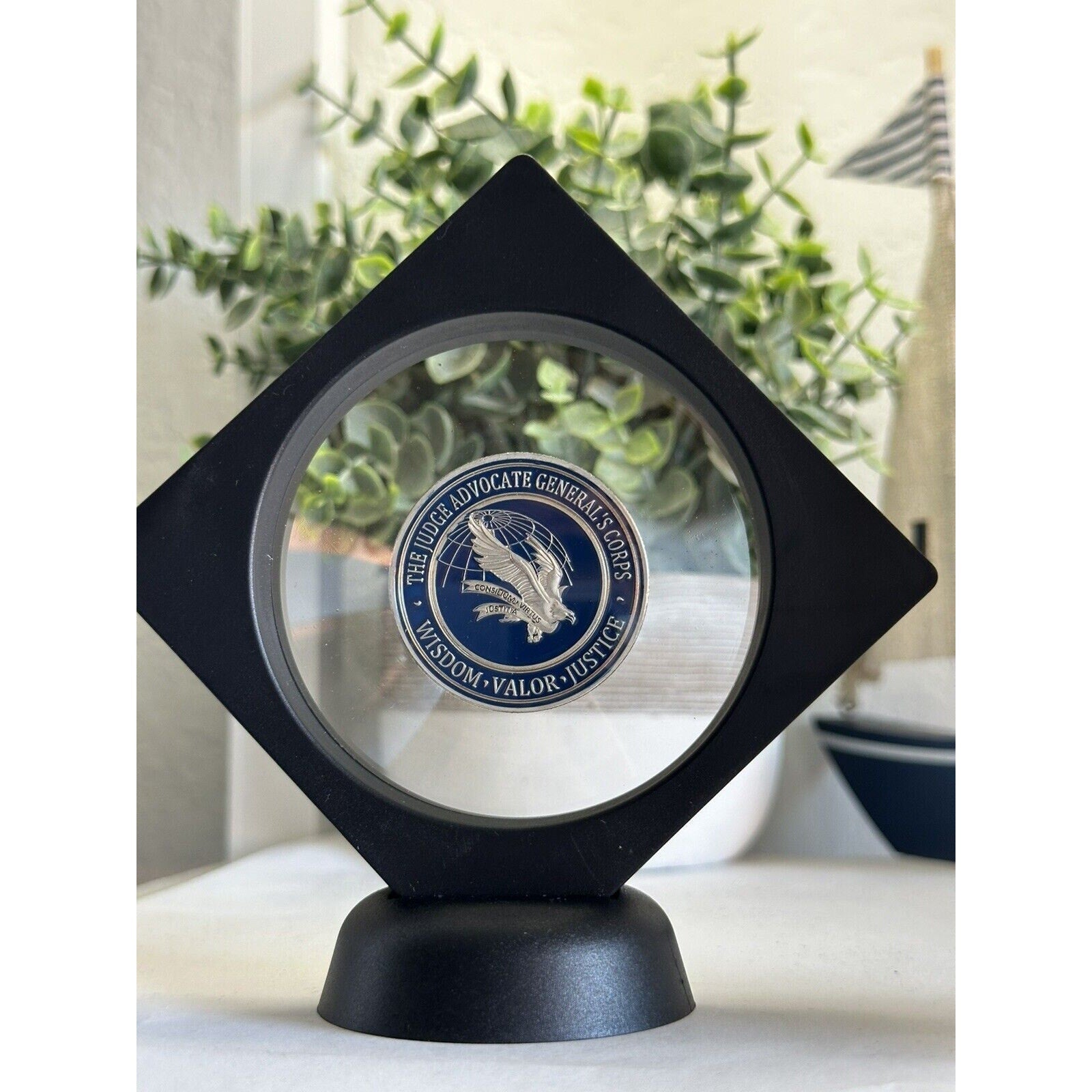 US AIR FORCE (JAG) JUDGE ADVOCATE GENERAL'S CORPS Challenge Coin W/ Display Case
