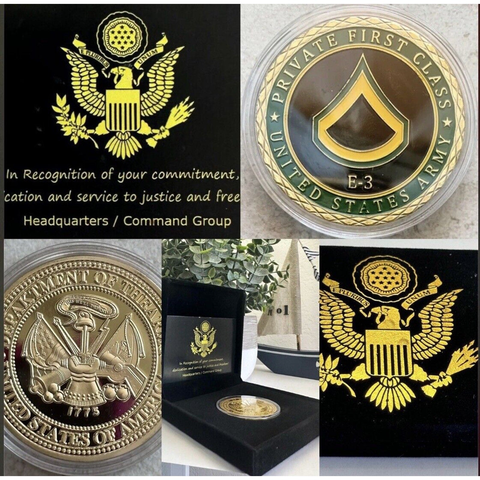 US ARMY " PRIVATE FIRST CLASS E-3 " Challenge Coin USA AMY