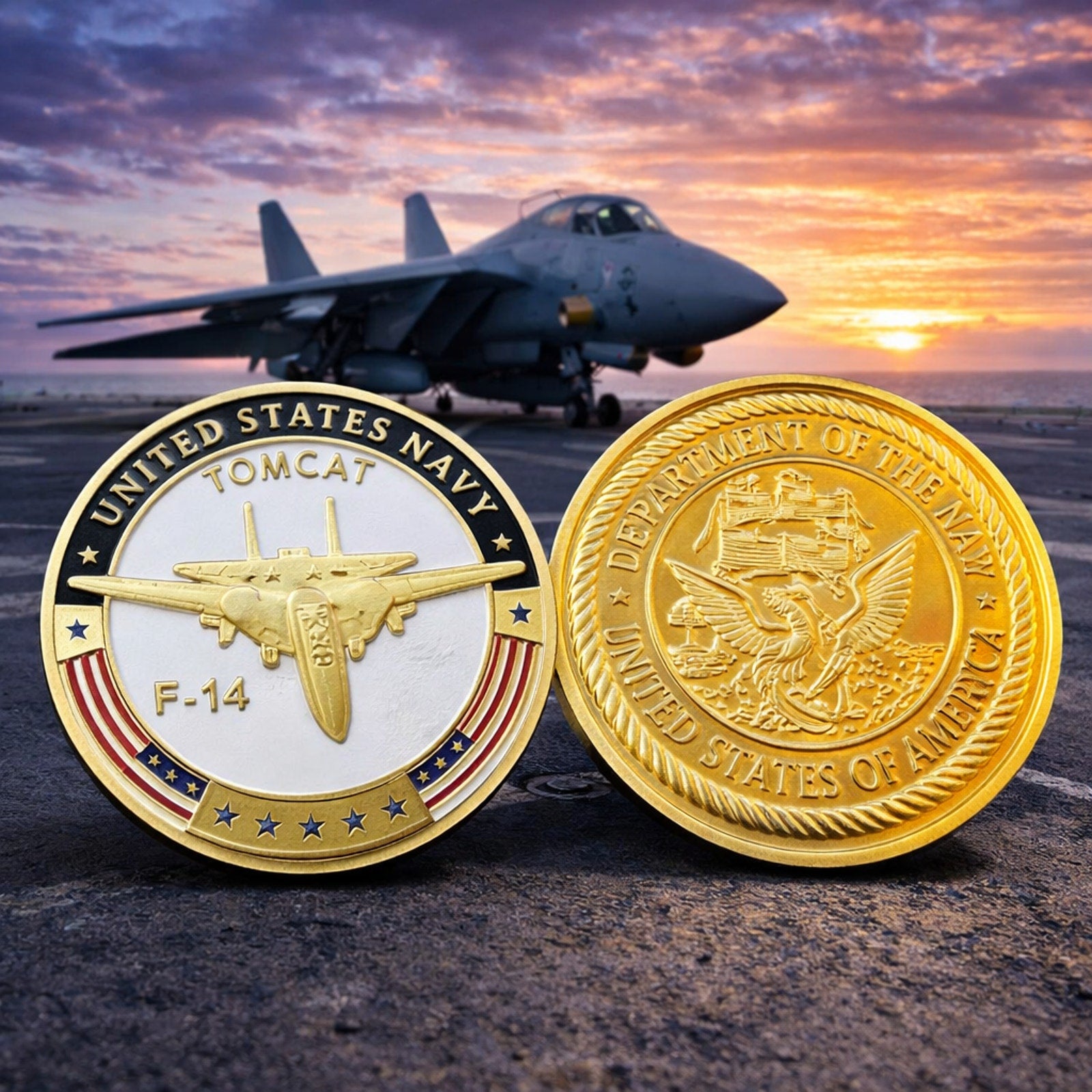 United States Navy F-14 Tomcat Challenge Coin with Case ·FAST SHIPPING· ·NEW·