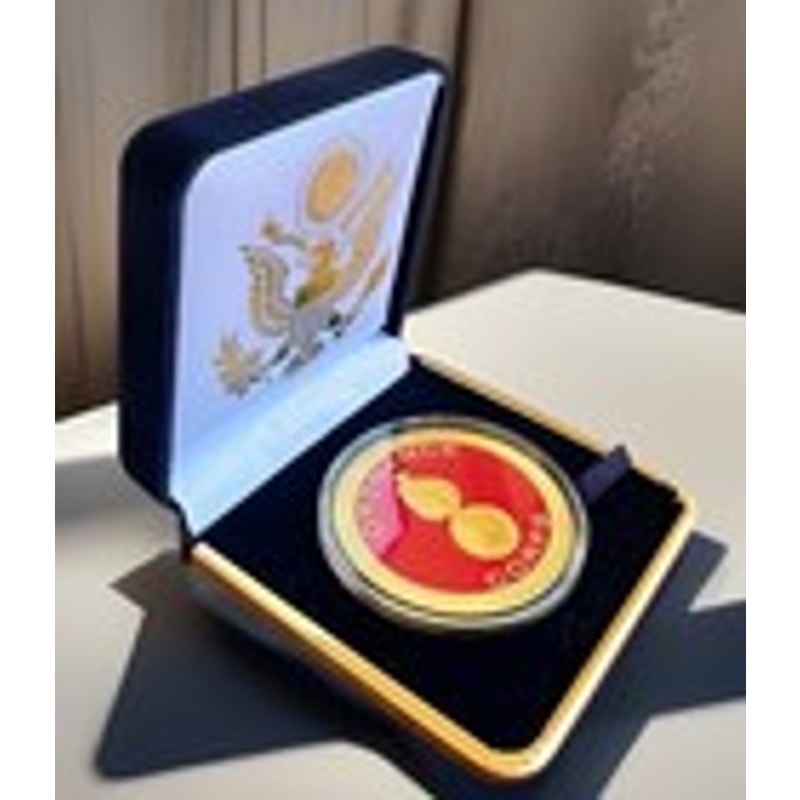 Department of Energy (DOE) Challenge Coin With Blue Velvet Case. Fast Shipping!