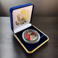 Department of Energy (DOE) Challenge Coin With Blue Velvet Case. Fast Shipping!