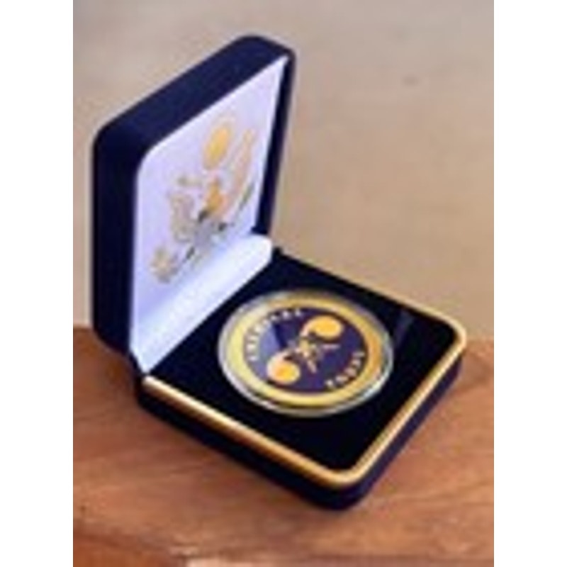 Department of Energy (DOE) Challenge Coin With Blue Velvet Case. Fast Shipping!
