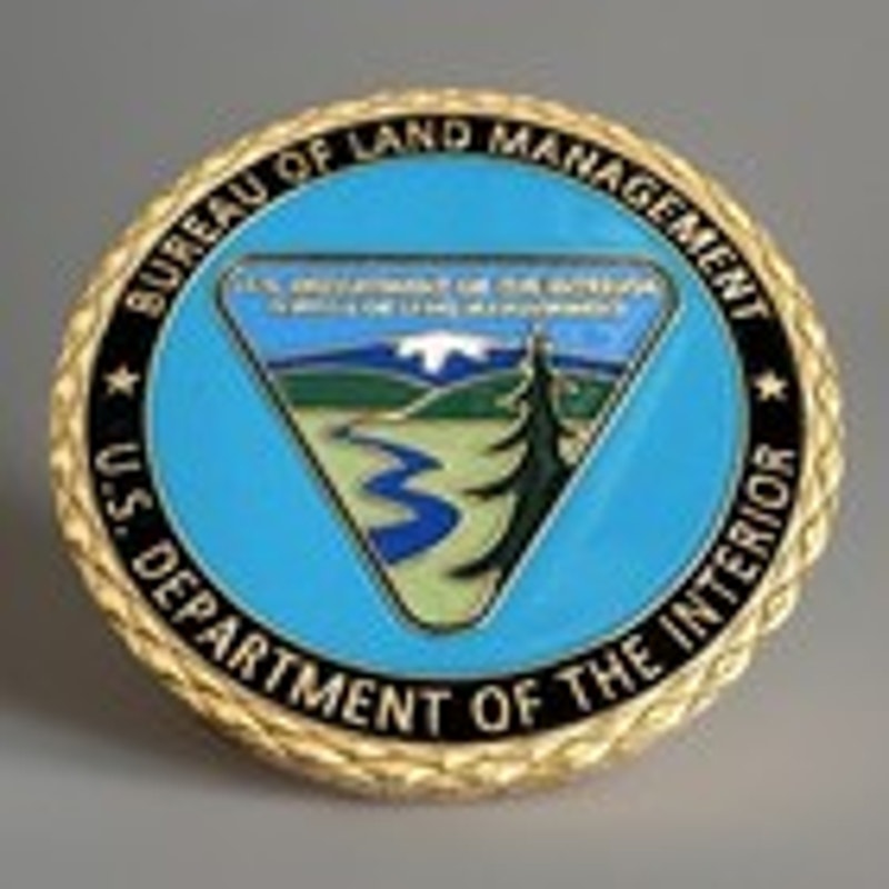 Department of Energy (DOE) Challenge Coin With Blue Velvet Case. Fast Shipping!