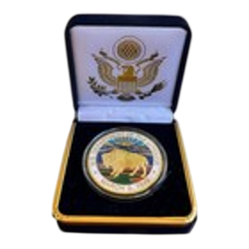 Department of Energy (DOE) Challenge Coin With Blue Velvet Case. Fast Shipping!