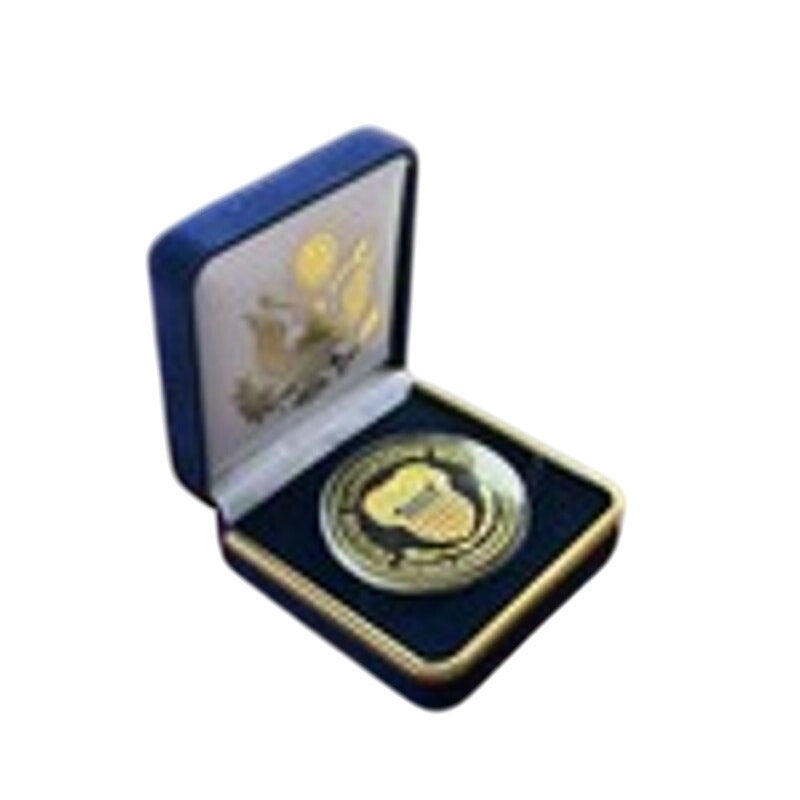 Department of Energy (DOE) Challenge Coin With Blue Velvet Case. Fast Shipping!