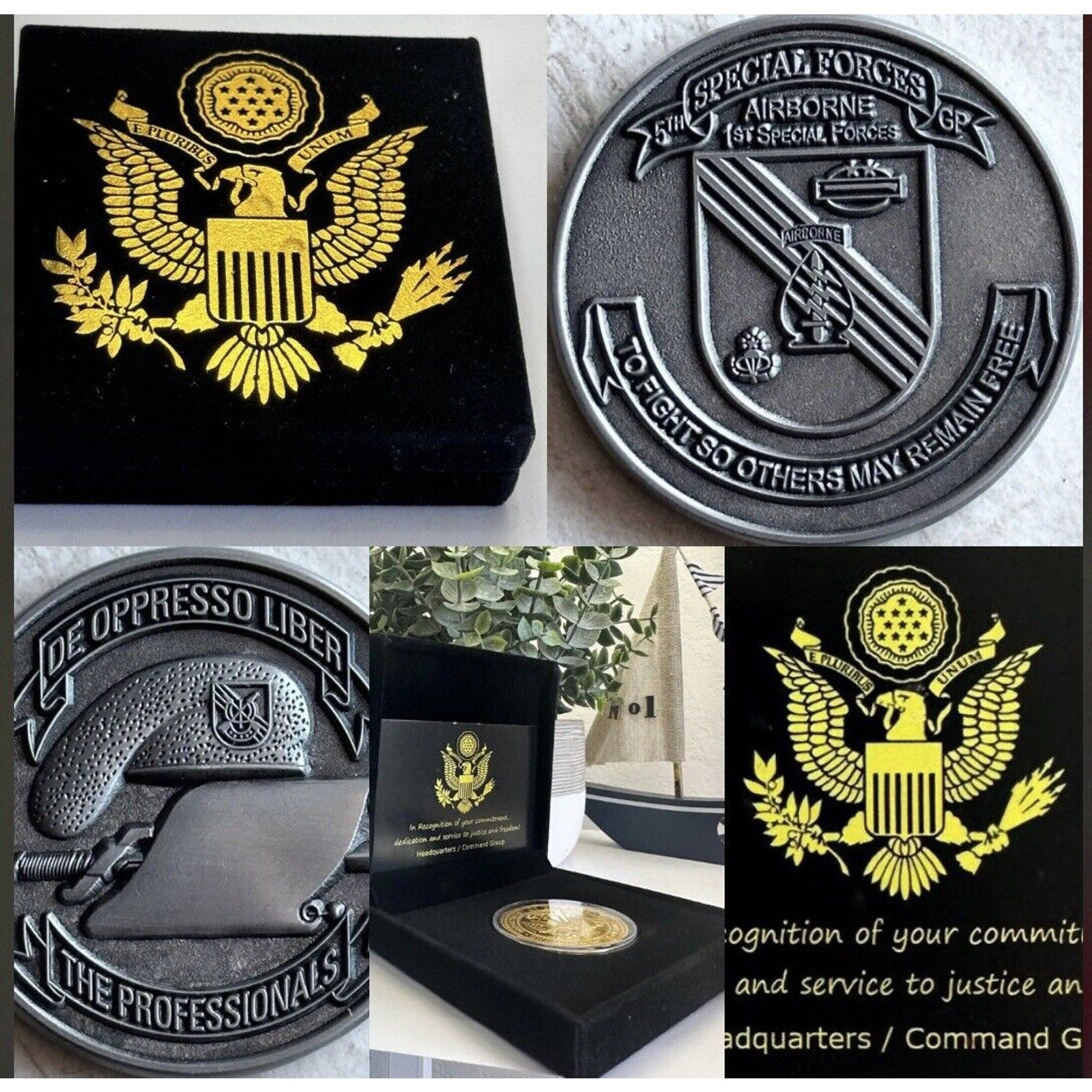 5TH GROUP Challenge Coin ARMY AIRBORNE SPECIAL FORCES "THE PROFESSIONALS" USA