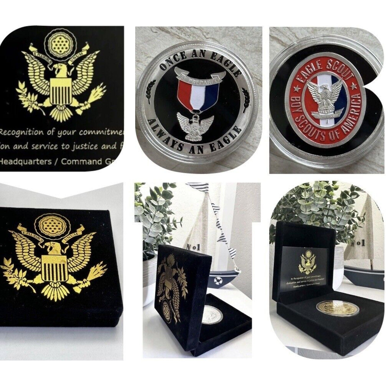 EAGLE SCOUT Challenge Coin USA