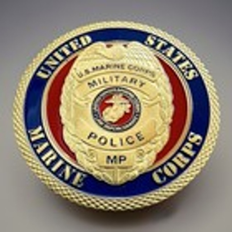 Department of Energy (DOE) Challenge Coin With Blue Velvet Case. Fast Shipping!