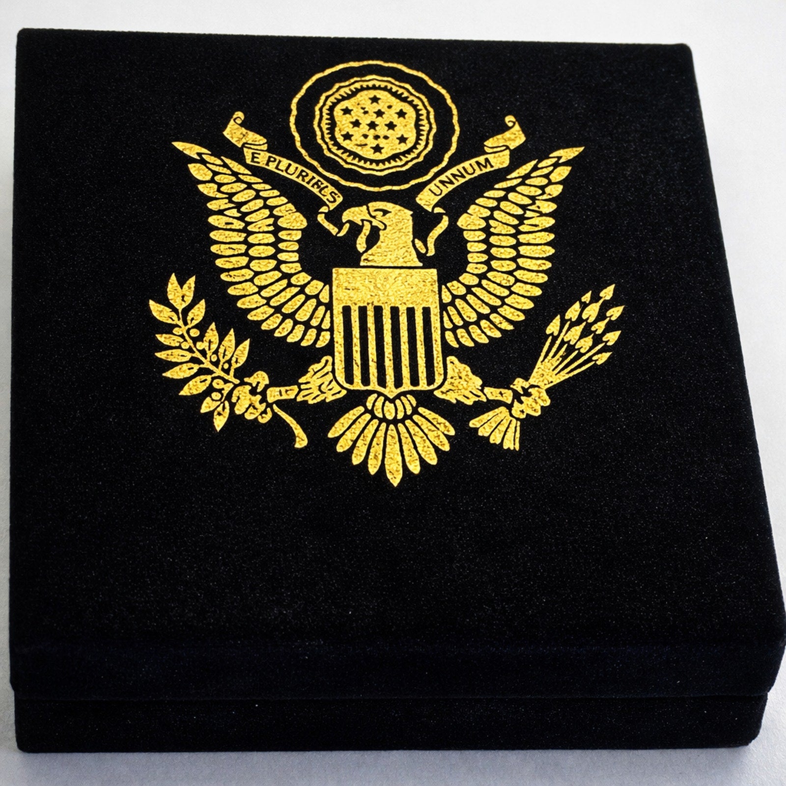 VA United States Department of Veterans Affairs Coin w/ Achievement Award