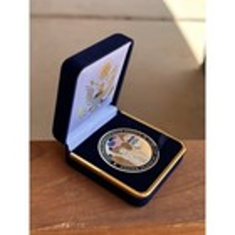 Department of Energy (DOE) Challenge Coin With Blue Velvet Case. Fast Shipping!