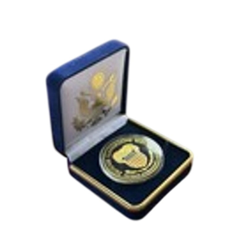 Department of Energy (DOE) Challenge Coin With Blue Velvet Case. Fast Shipping!