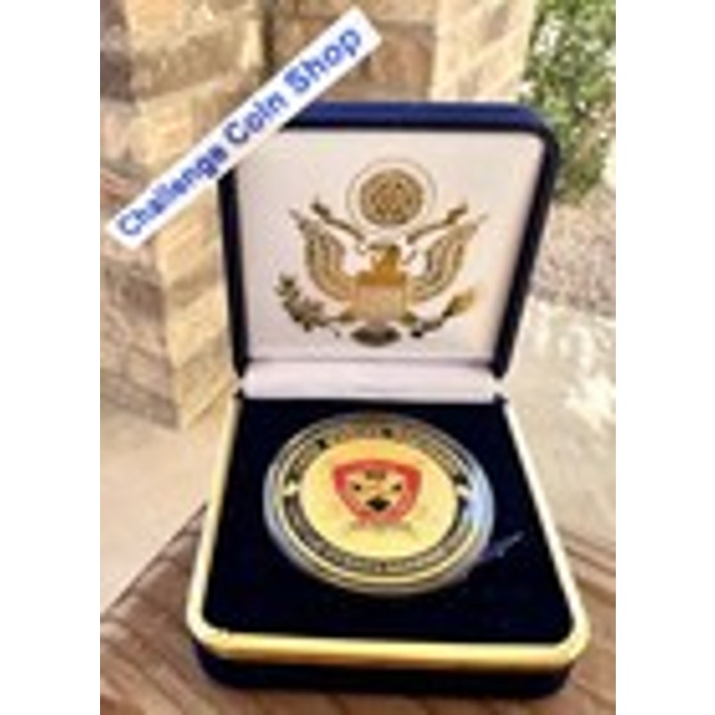 Department of Energy (DOE) Challenge Coin With Blue Velvet Case. Fast Shipping!