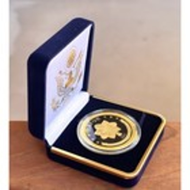 Department of Energy (DOE) Challenge Coin With Blue Velvet Case. Fast Shipping!