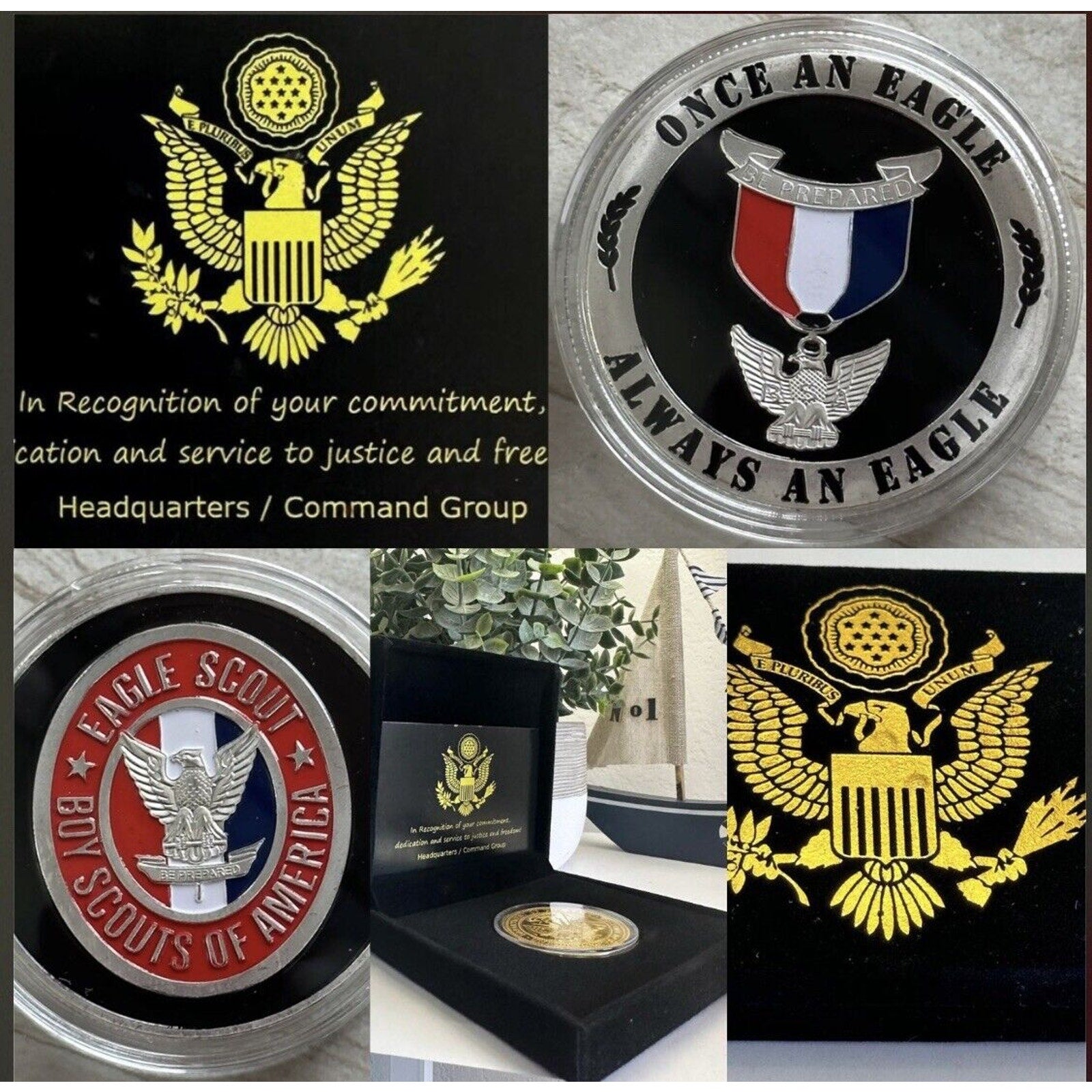 EAGLE SCOUT Challenge Coin USA