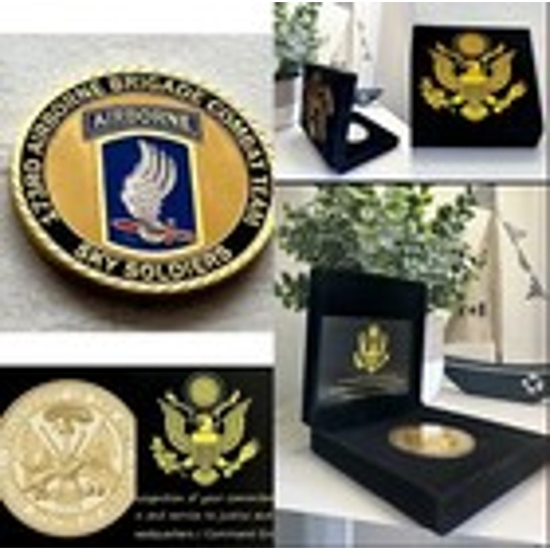 173 Rd AIRBORNE BRIGADE-Sky Soldiers Challenge Coin US Army Division W/ Case
