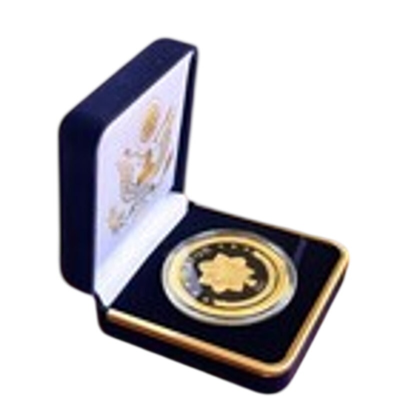 Department of Energy (DOE) Challenge Coin With Blue Velvet Case. Fast Shipping!