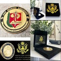 US Marine Corps 2nd MARINE REGIMENT Challenge Coin W/ Case Retirement Award!