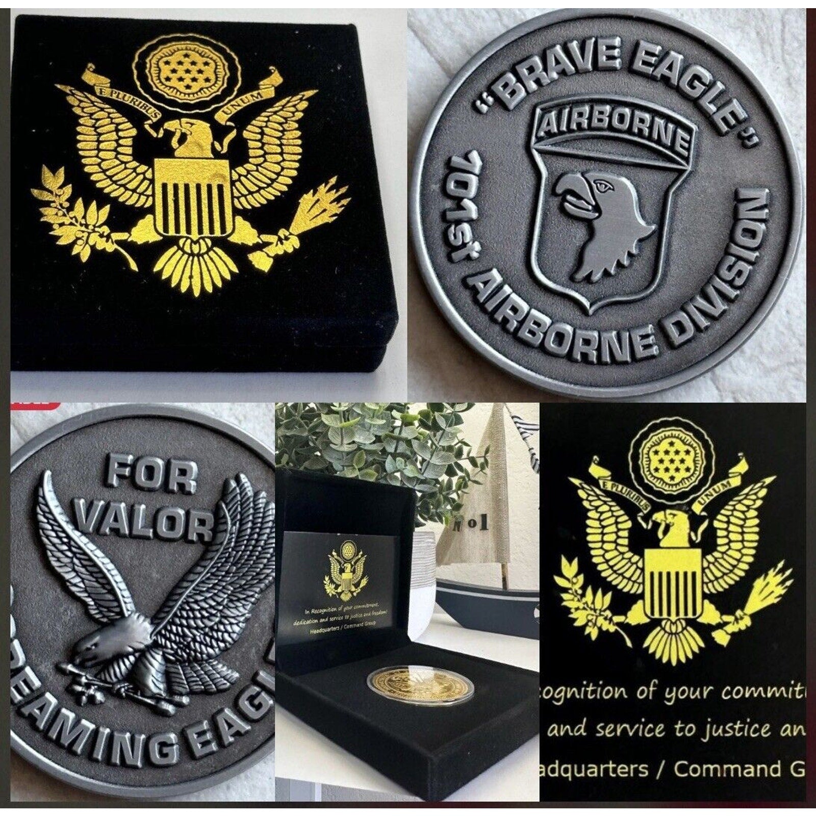 Challenge Coin 101st Airborne Original Coin USA