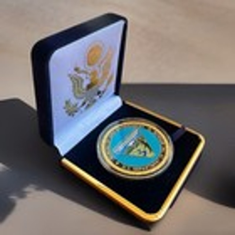 Department of Energy (DOE) Challenge Coin With Blue Velvet Case. Fast Shipping!
