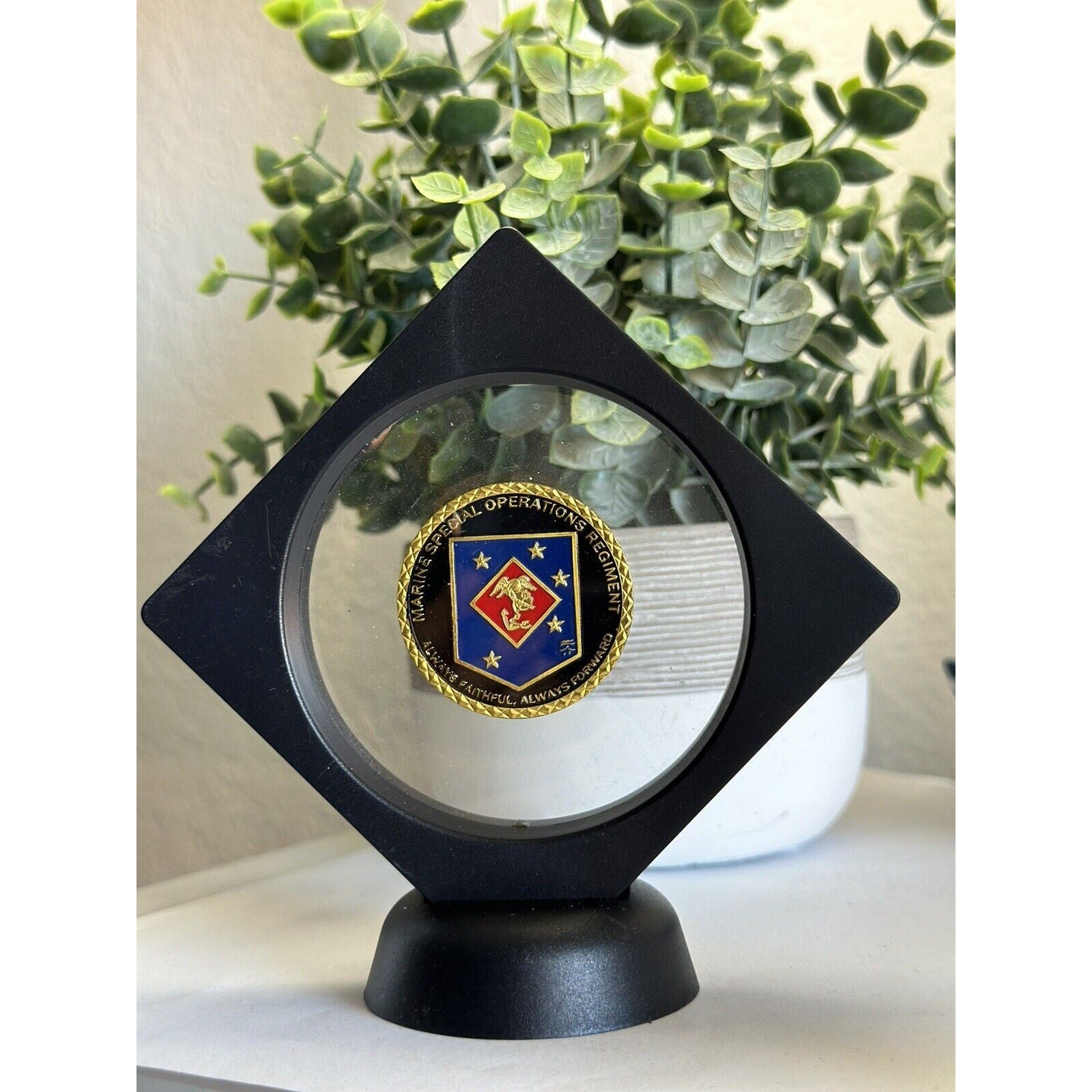 US MARINE CORPS SPECIAL OPERATIONS REGIMENT Challenge Coin With 3D Display Case